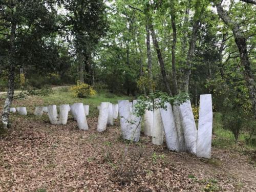 Parco Sculture del Chianti 00006