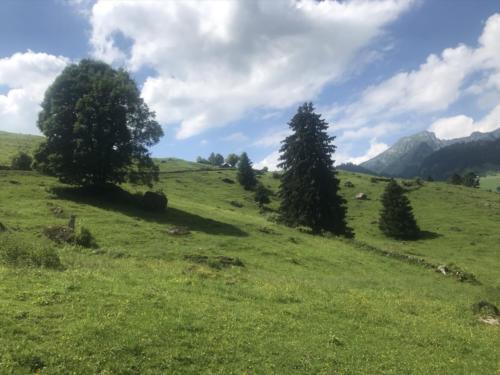 Chäserrugg - Unterwasser - 28