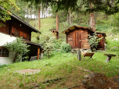 Mili-Weber-Haus Tierfutterplätze