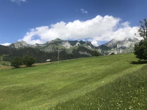 Wildhaus - Gamplüt-Wanderung - 02