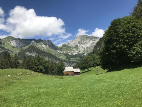 Wildhaus - Gamplüt-Wanderung - 07