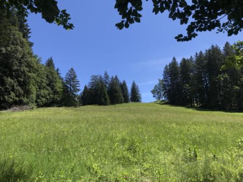 Wildhaus - Gamplüt-Wanderung - 09