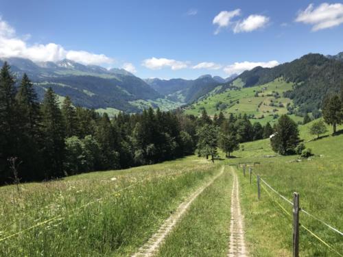 Wildhaus - Gamplüt-Wanderung - 12