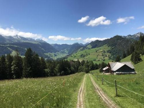Wildhaus - Gamplüt-Wanderung - 13