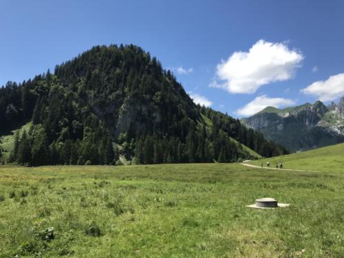 Wildhaus - Gamplüt-Wanderung - 28