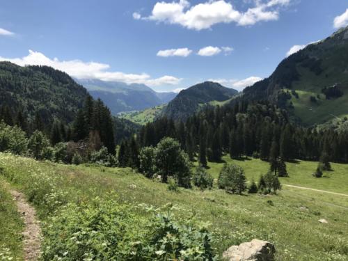 Wildhaus - Gamplüt-Wanderung - 35