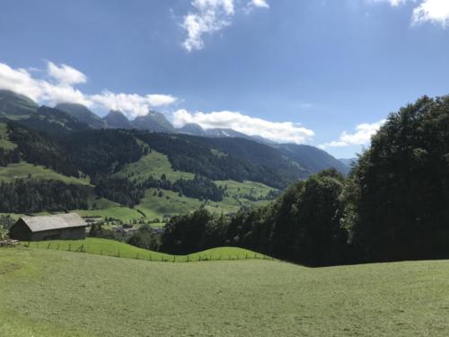 Wildhaus - Gamplüt-Wanderung - 54