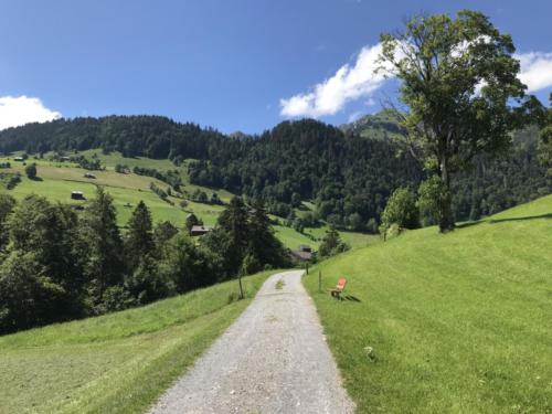 Wildhaus - Gamplüt-Wanderung - 55