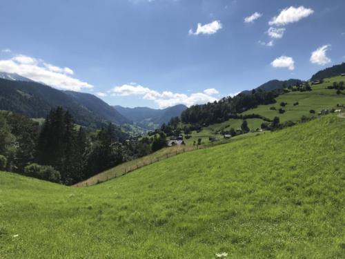 Wildhaus - Gamplüt-Wanderung - 56